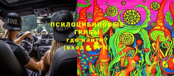 дживик Михайловка