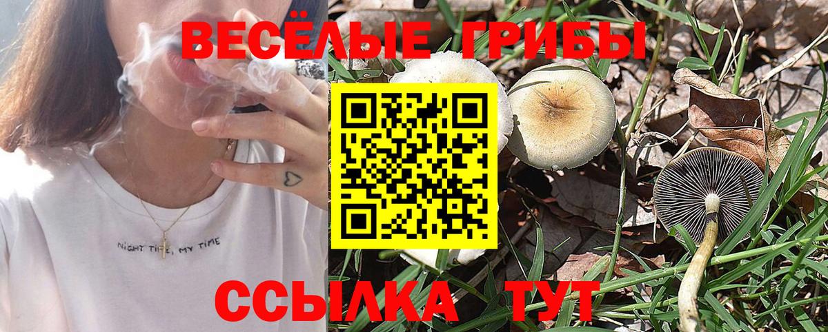 Галлюциногенные грибы мухоморы  Вход с VPN  Курган 