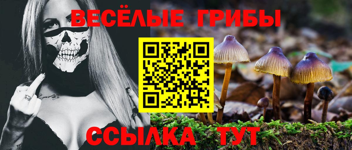 Галлюциногенные грибы Cubensis Курган