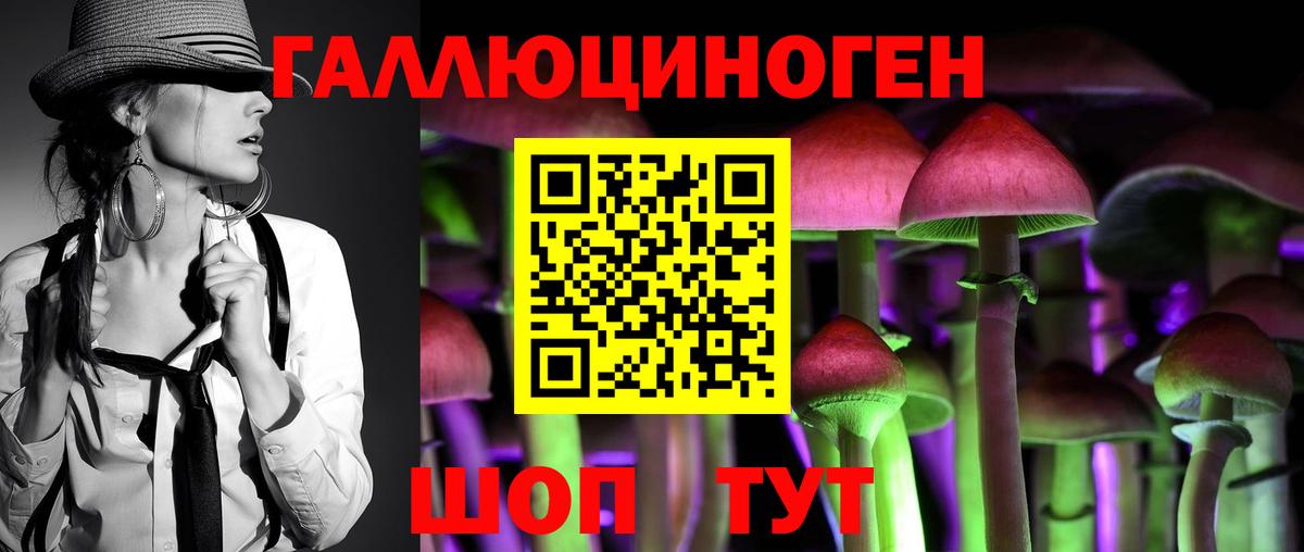 Псилоцибиновые грибы Psilocybe Курган